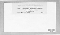 Image Associated With the Occurence